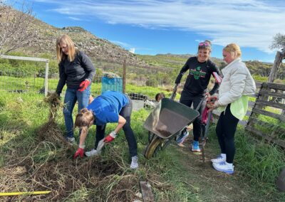 Sacred Mountain Lodge, Noordhoek - lodge grounds and mountain views